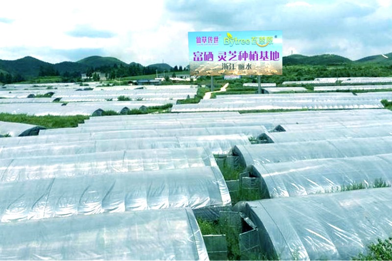 ��̖(h��o)����