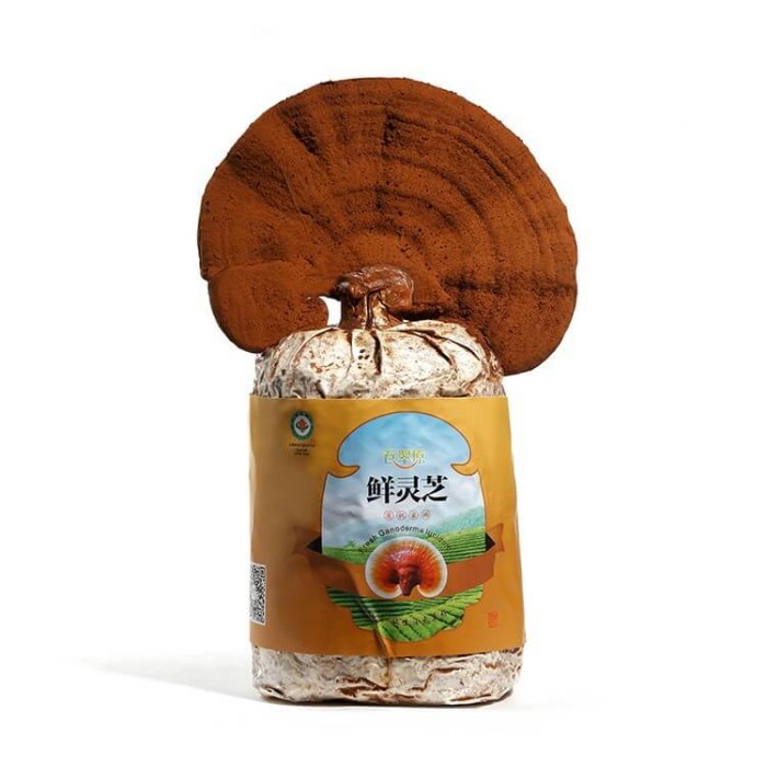 �����r�`֥�����o�㽡����������