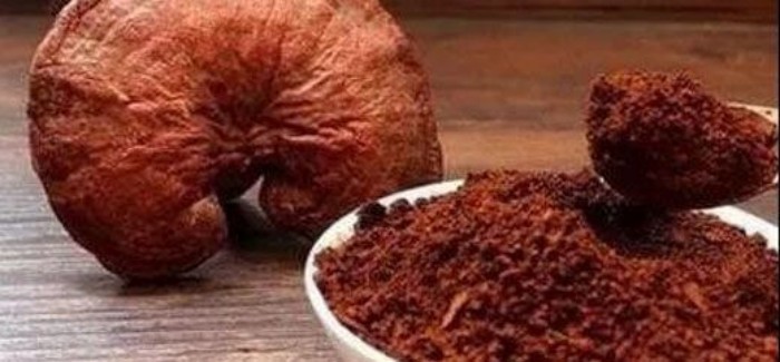 �`֥�����ͣ���ϡ�I�B(y��ng)���������o(h��)��