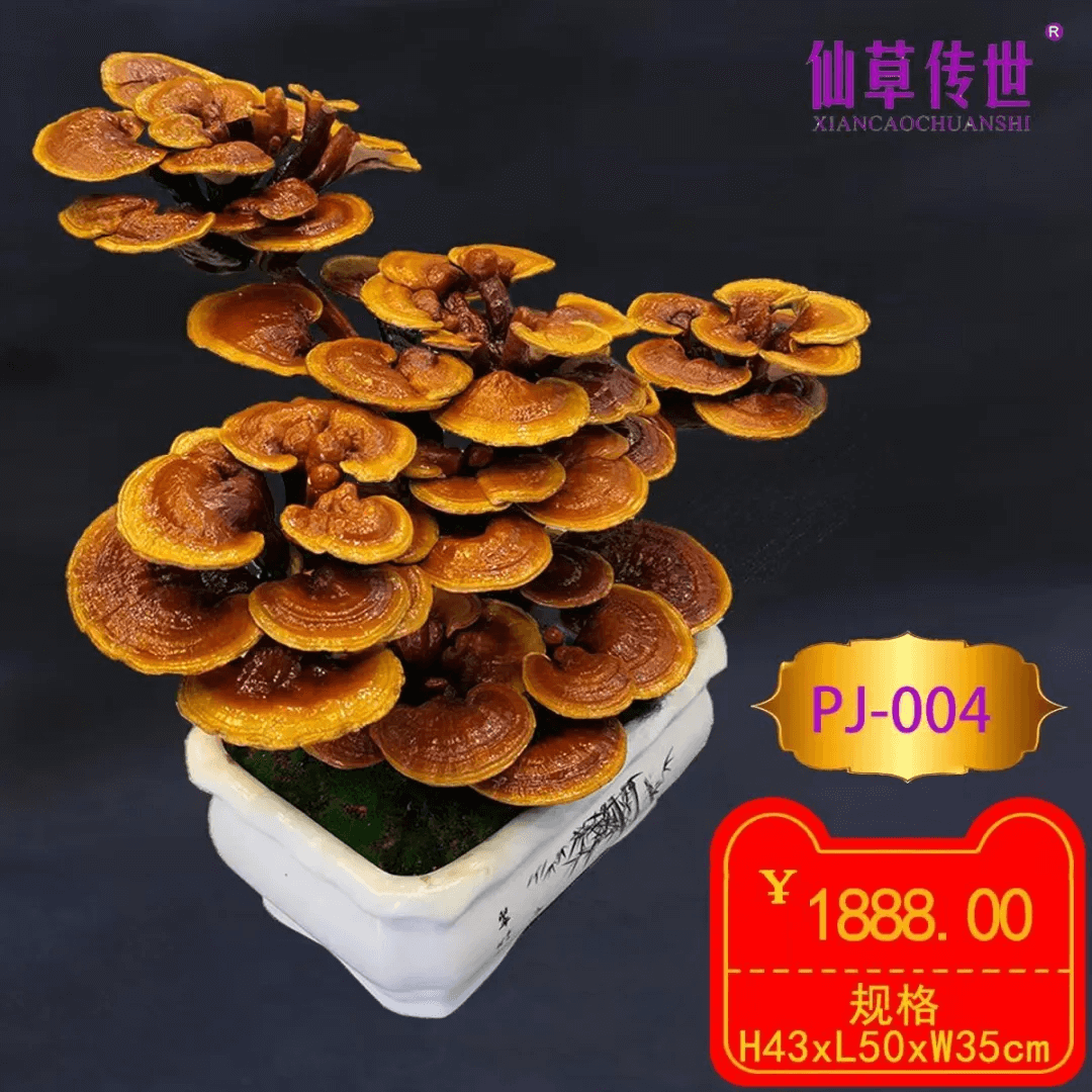 ΢�ňDƬ_20250401154304.png